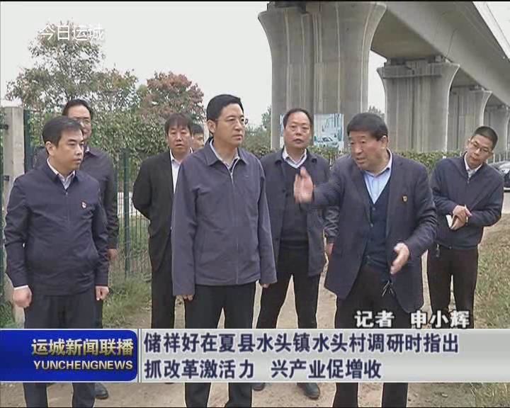 储祥好在夏县水头镇水头村调研时指出：抓改革激活力 兴产业促增收