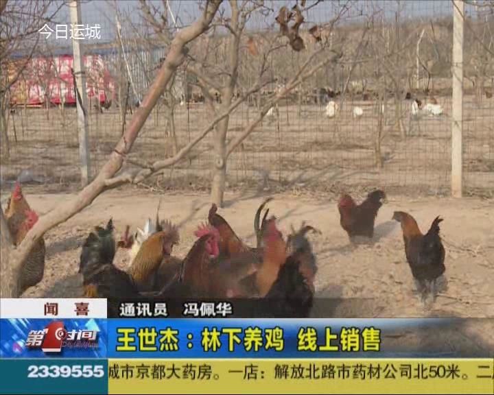闻喜太平庄村王世杰：林下养鸡 线上销售
