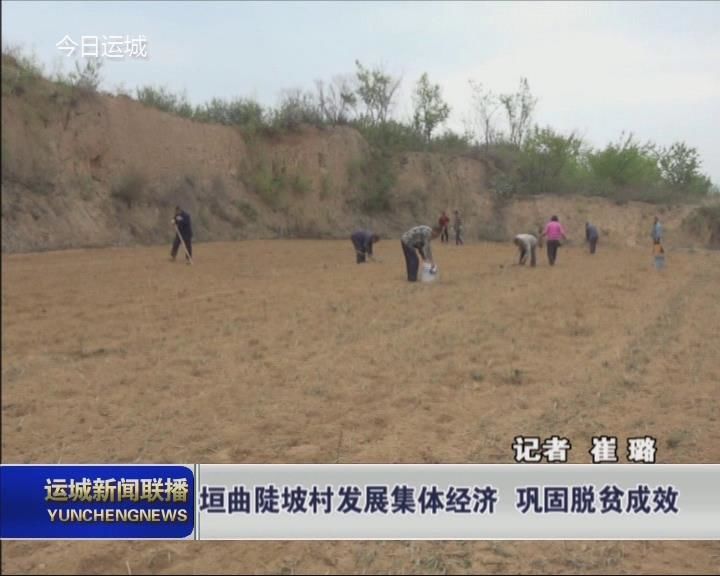 垣曲陡坡村发展集团经济 巩固脱贫成效