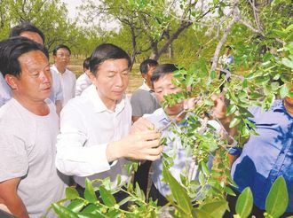 骆惠宁在运城调研并出席全省农村改革座谈会