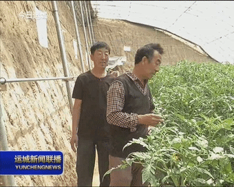 新绛县王守村：强化基层党建　引领村民走出致富路