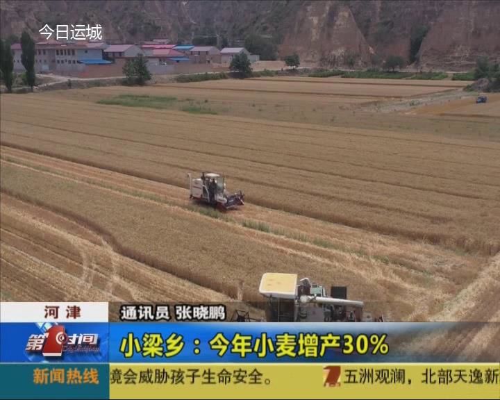 【“三夏”一线】河津市小梁乡：今年小麦增产30%