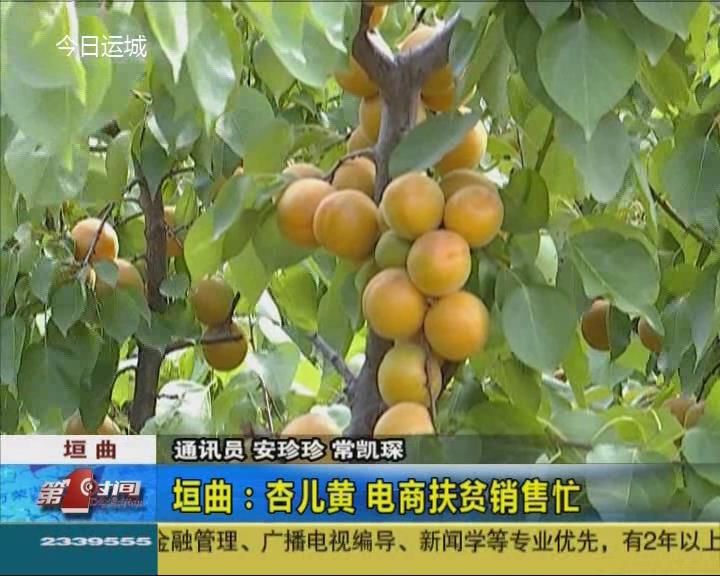 垣曲：杏儿黄 电商扶贫销售忙  