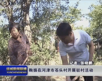 鞠振在河津市苍头村开展驻村活动