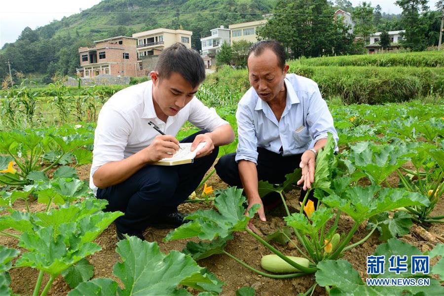 (新华全媒头条·图文互动)(3)咱们村里的年轻人——记奋战在贵州脱贫攻坚一线的青年