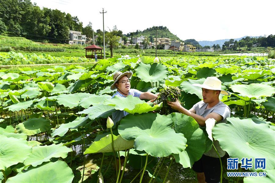 (新华全媒头条·图文互动)(4)咱们村里的年轻人——记奋战在贵州脱贫攻坚一线的青年