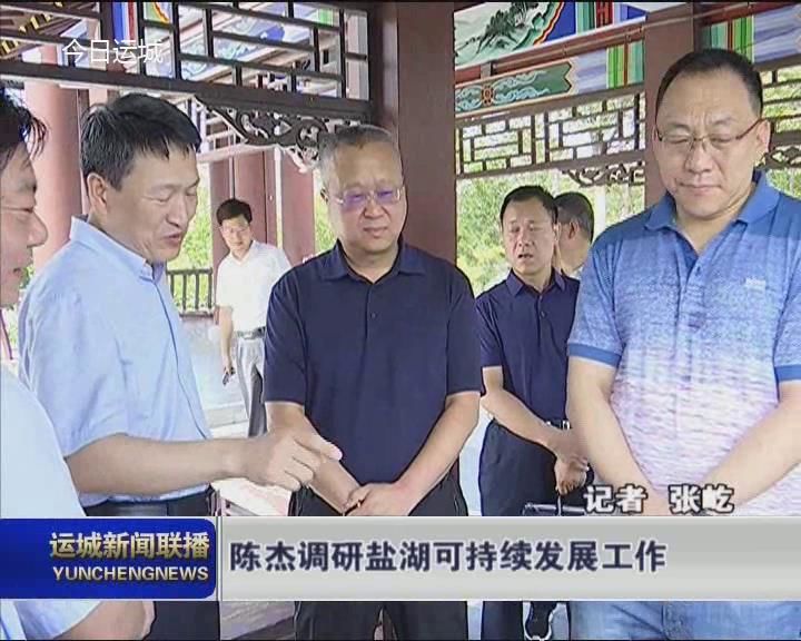 陈杰调研盐湖可持续发展工作
