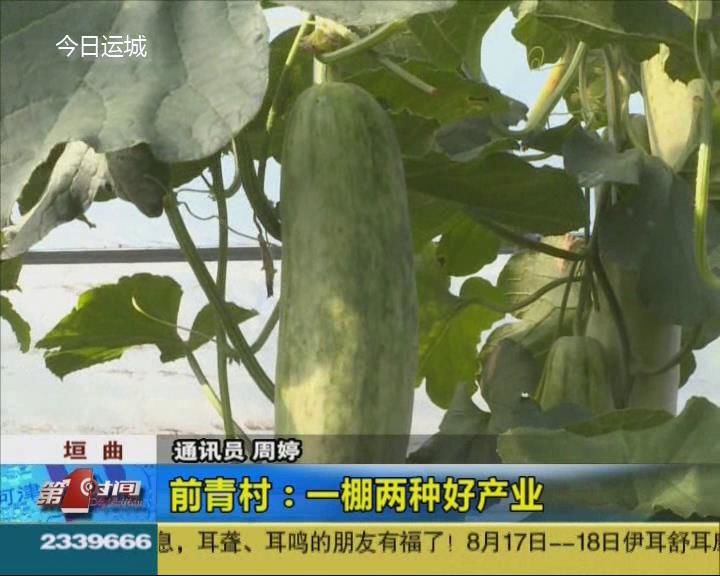【脱贫攻坚在路上】垣曲前青村：一棚两种好产业
