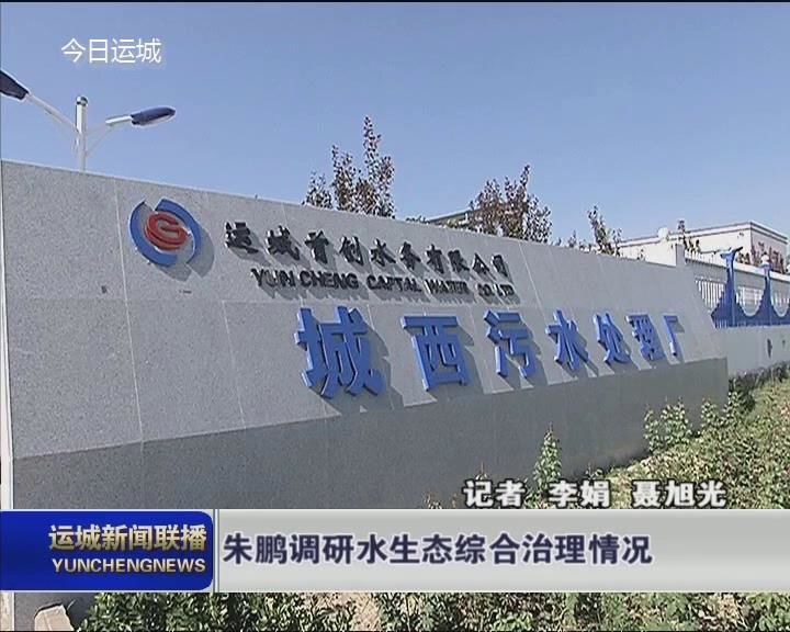 朱鹏调研水生态综合治理情况