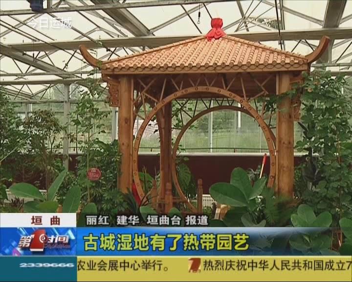 垣曲：古城湿地有了热带园艺