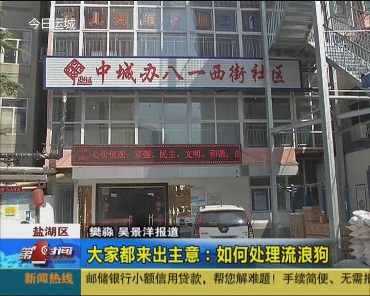 大家都来出主意 如何处理流浪狗 