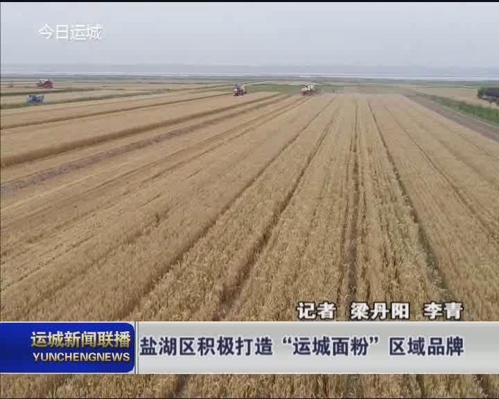 【加快实现“三个战略定位” “四大战略目标”】盐湖区打造“运城面粉”区域品牌 提质增效 讲好品牌故事