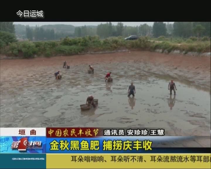 【中国农民丰收节】垣曲：金秋黑鱼肥 捕捞庆丰收
