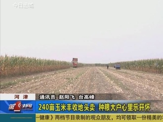 河津：240亩玉米丰收地头卖 种粮大户心里乐开怀