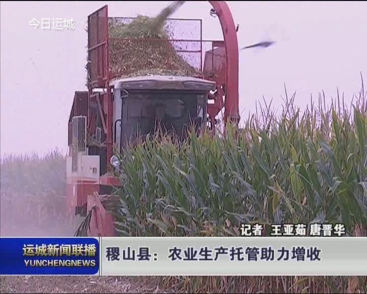 稷山县：农业生产托管助力增收