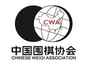 中国围棋协会开创围棋网上战“疫”新空间