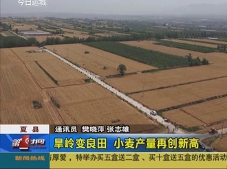 夏县旱岭变良田 小麦产量再创新高