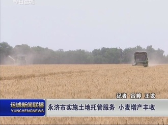 永济市实施土地托管服务 小麦增产丰收