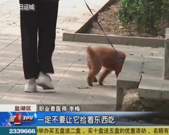 网页游戏资讯_【游戏】手机游戏｜网络游戏｜单机游戏｜哈希娱乐- 哈希游戏平台- 哈希游戏官方网站游戏装备_天极网游戏频道