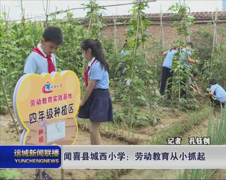 闻喜县城西小学：劳动教育从小抓起