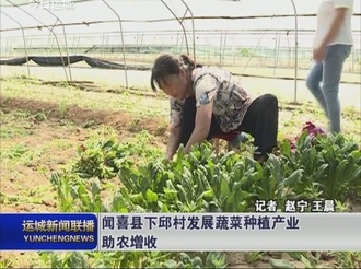 闻喜县下邱村发展蔬菜种植产业助农增收