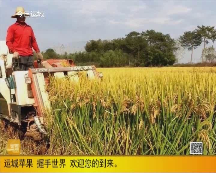 改革开放七十年来,作为农业大国的中国,在粮食产量的不断提升当中