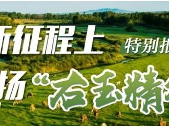 绿起来的右玉：天然牧场孕育生态美羊→