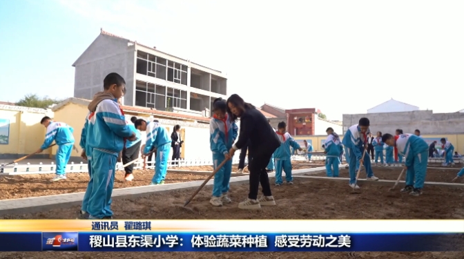 稷山县东渠小学：体验蔬菜种植 感受劳动之美